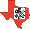 Texas Logo mini